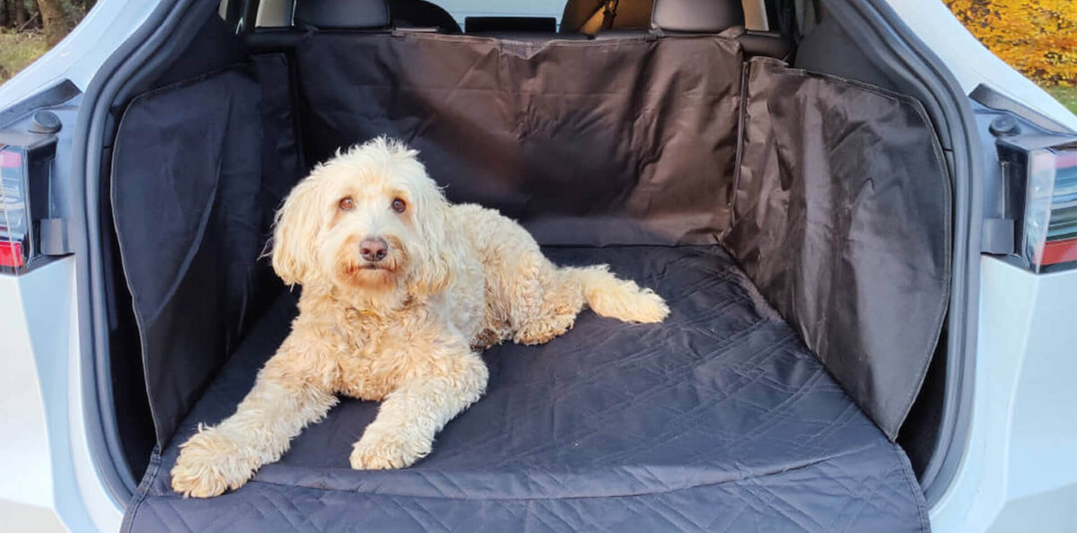 Kofferraumschutz für Hunde, Alltag und Ladung des Tesla Model Y