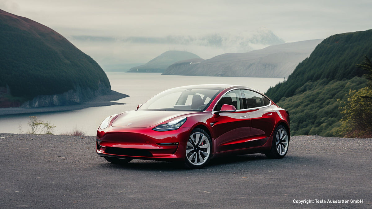 Lenkradverschleiß - Model 3 Probleme / Fehler - TFF Forum - Tesla