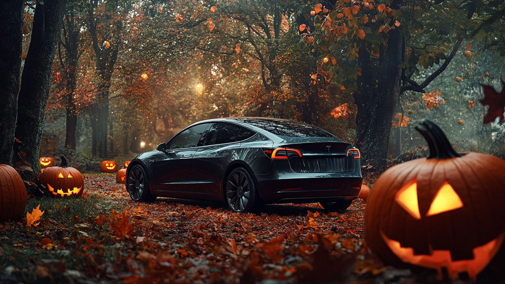 Bestes Tesla Herbst Zubehör