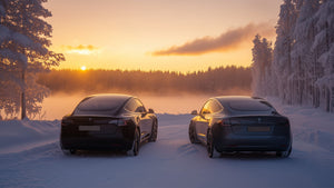 Tesla Camping im Winter