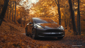 Tesla Tipps für den Herbst